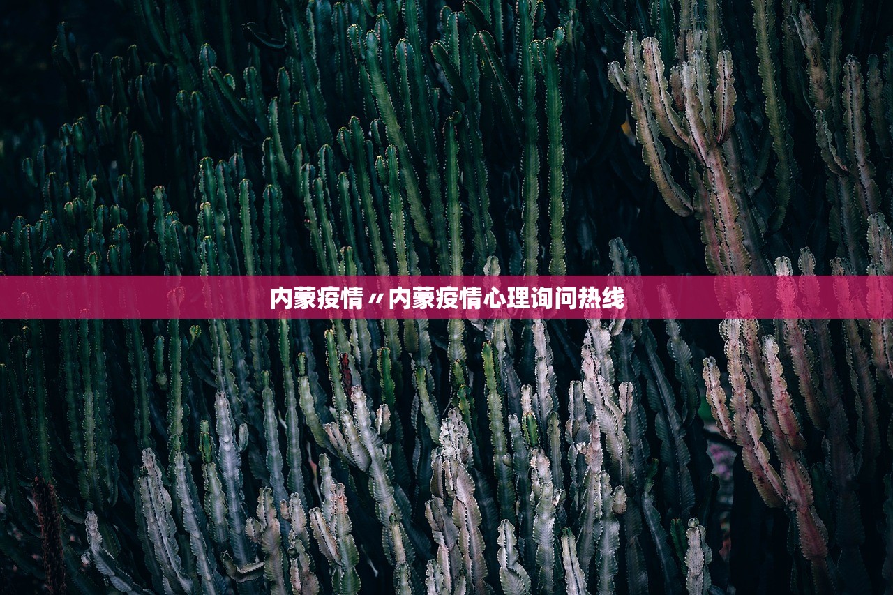 内蒙疫情〃内蒙疫情心理询问热线
