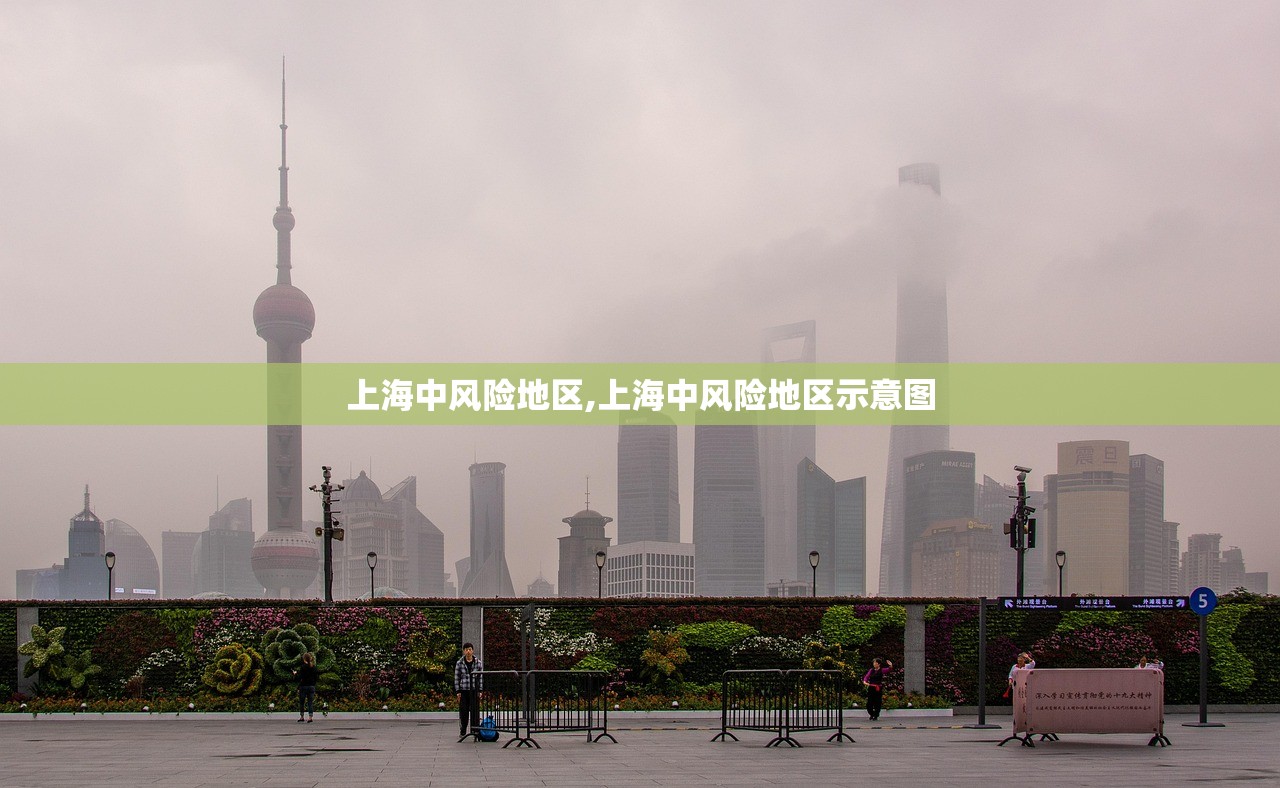 上海中风险地区,上海中风险地区示意图