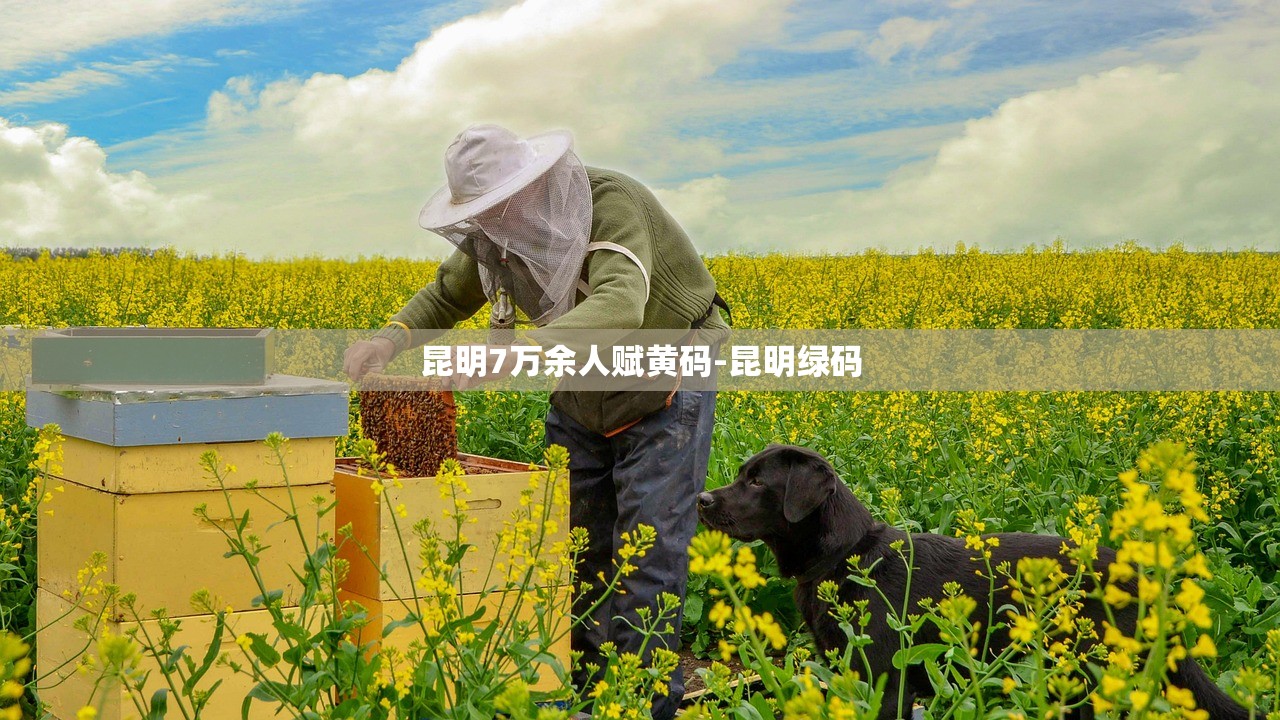 昆明7万余人赋黄码-昆明绿码