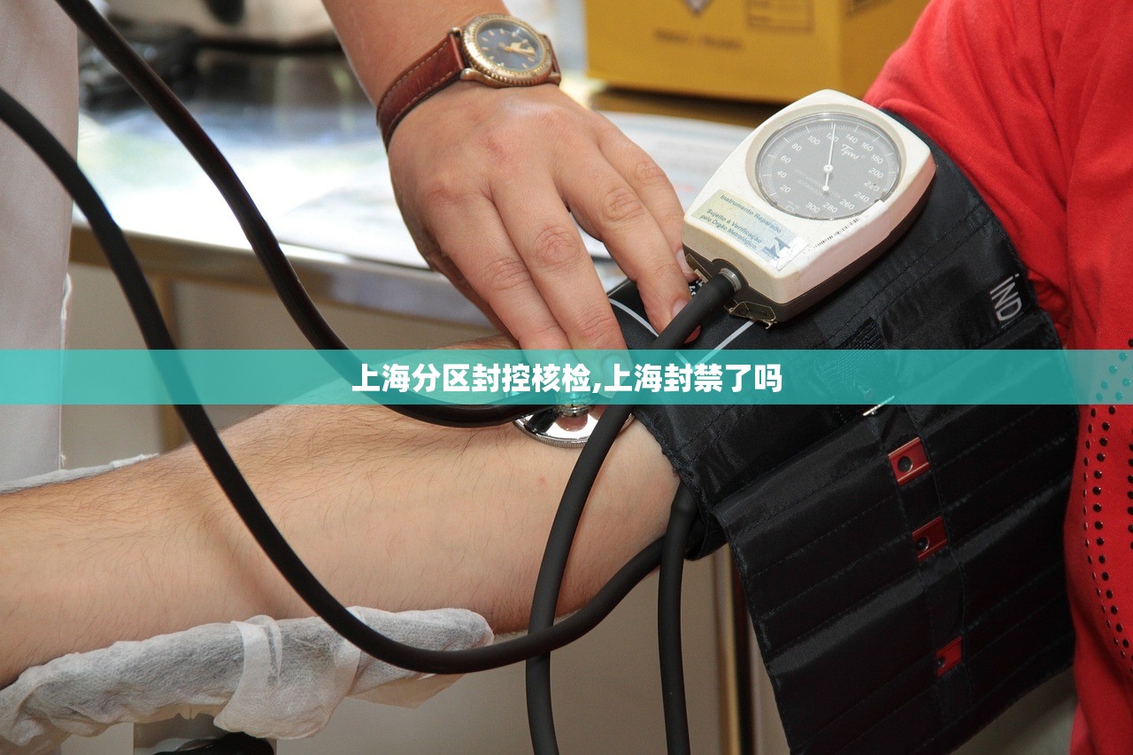 上海分区封控核检,上海封禁了吗