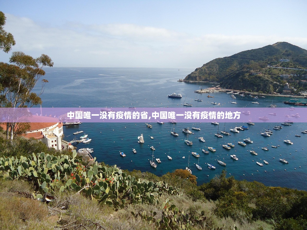 中国唯一没有疫情的省,中国唯一没有疫情的地方