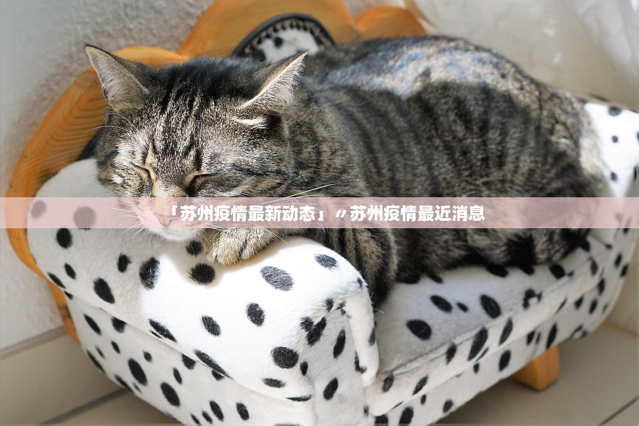 「苏州疫情最新动态」〃苏州疫情最近消息