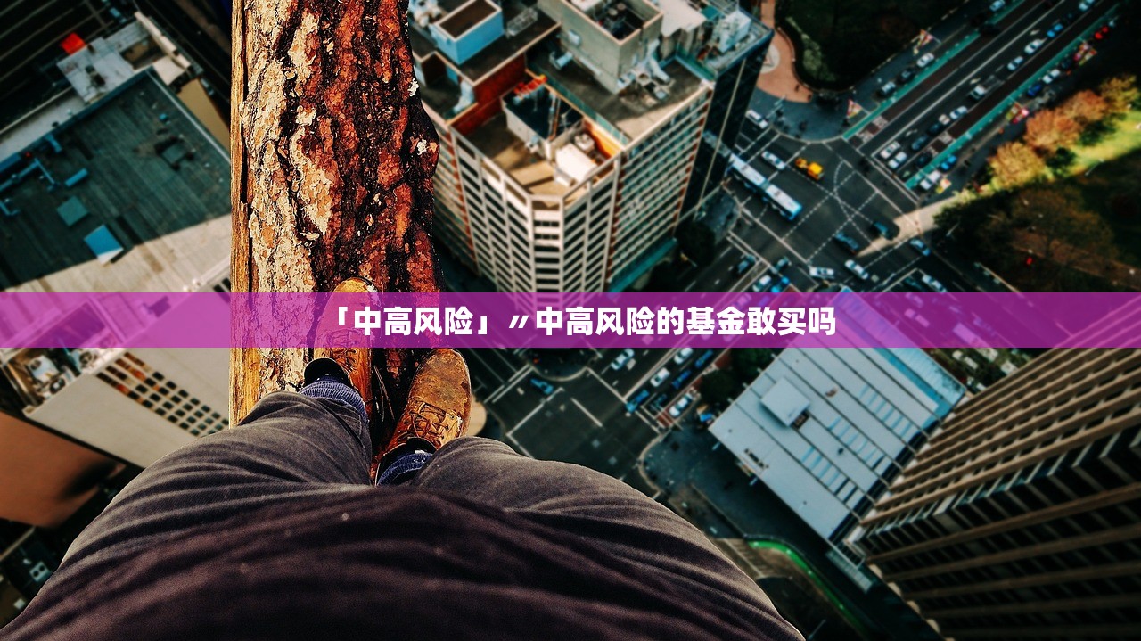 「中高风险」〃中高风险的基金敢买吗