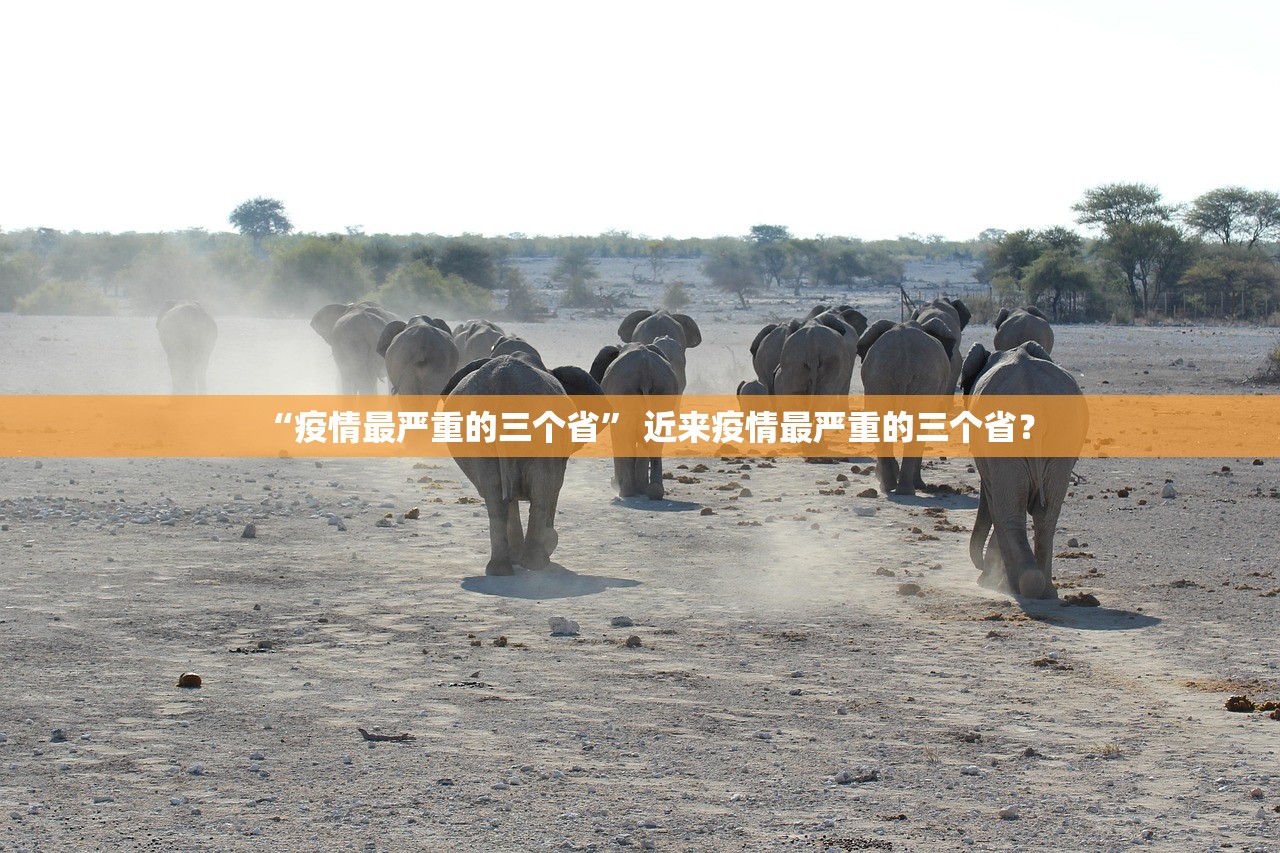 “疫情最严重的三个省” 近来疫情最严重的三个省？