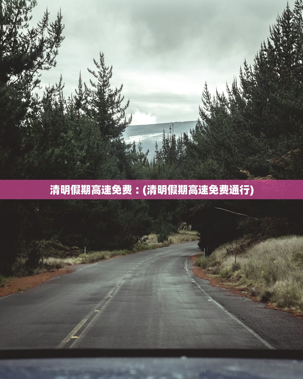 清明假期高速免费︰(清明假期高速免费通行) 清明假期高速免费︰(清明假期高速免费通行)