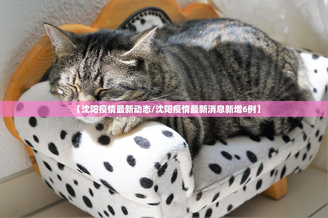 【沈阳疫情最新动态/沈阳疫情最新消息新增6例】