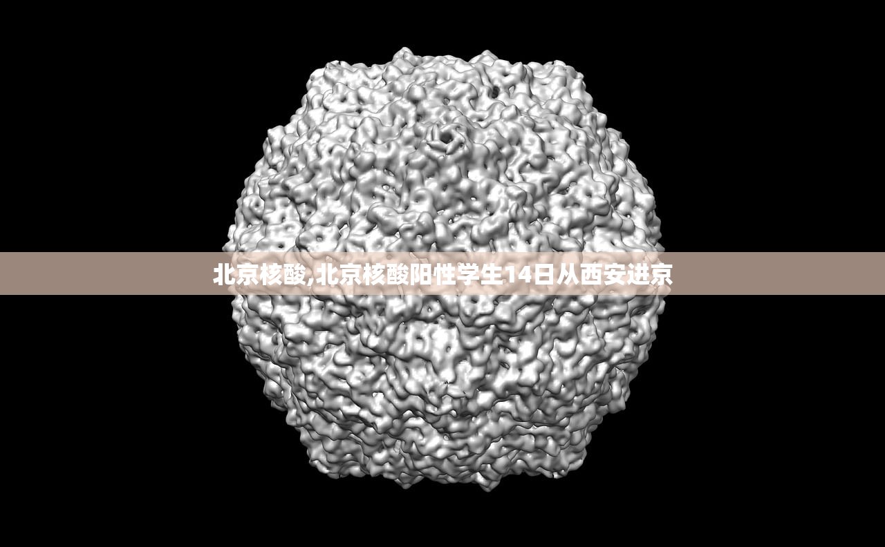 北京核酸,北京核酸阳性学生14日从西安进京