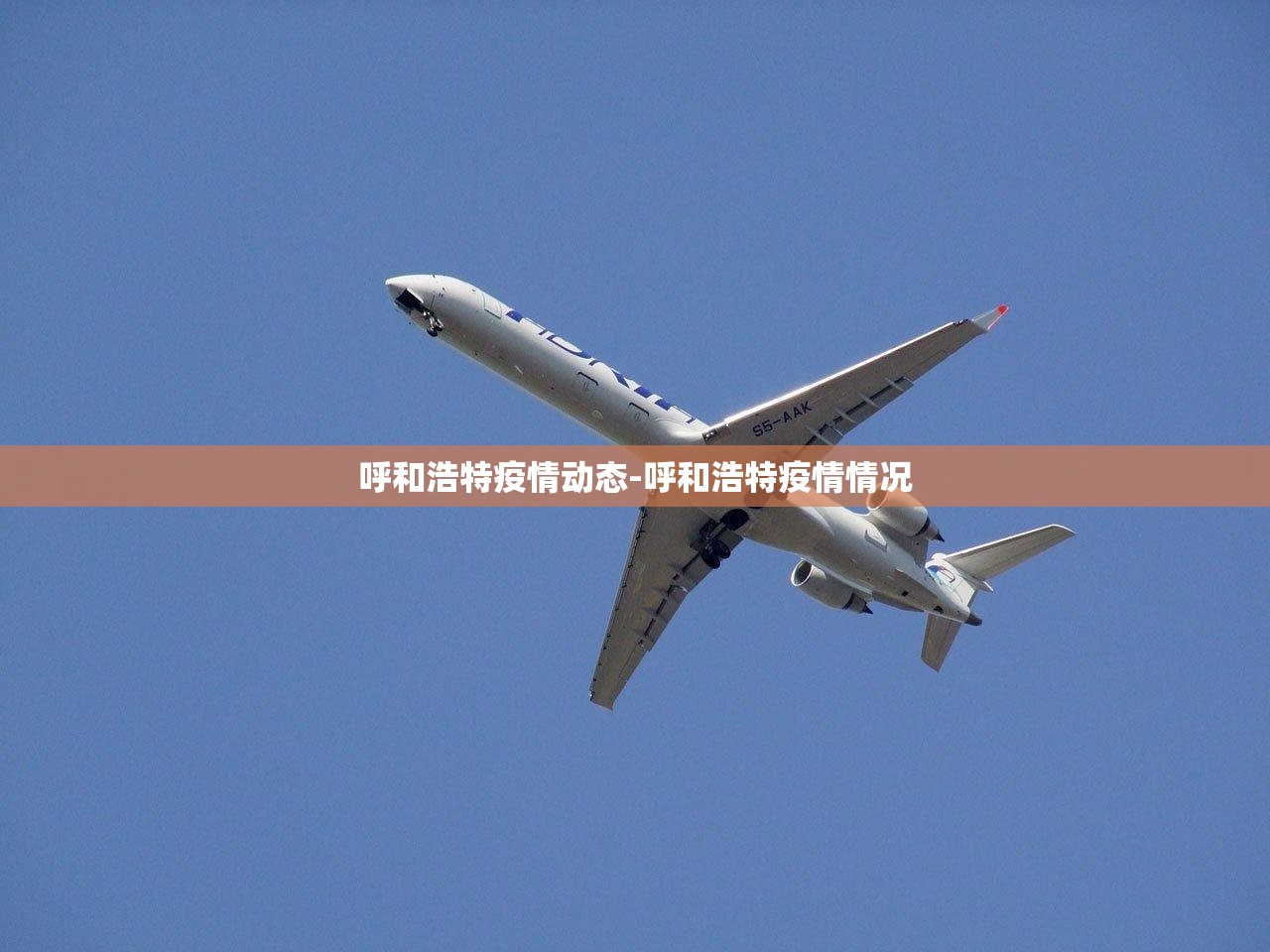 河北廊坊疫情最新情况-河北廊坊疫情最新消息2021