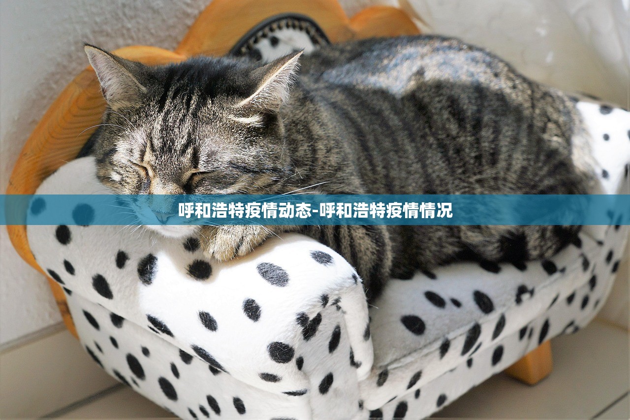 呼和浩特疫情动态-呼和浩特疫情情况