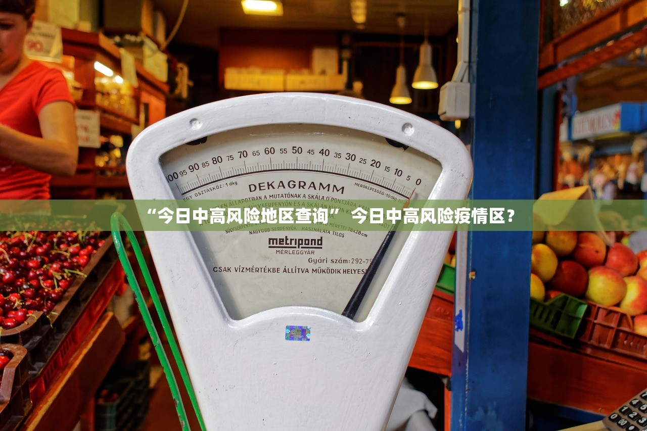 “今日中高风险地区查询” 今日中高风险疫情区？