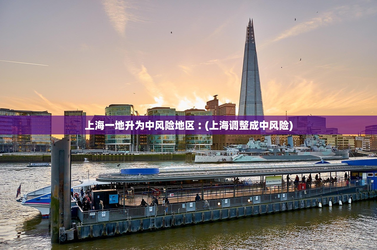 上海一地升为中风险地区︰(上海调整成中风险)