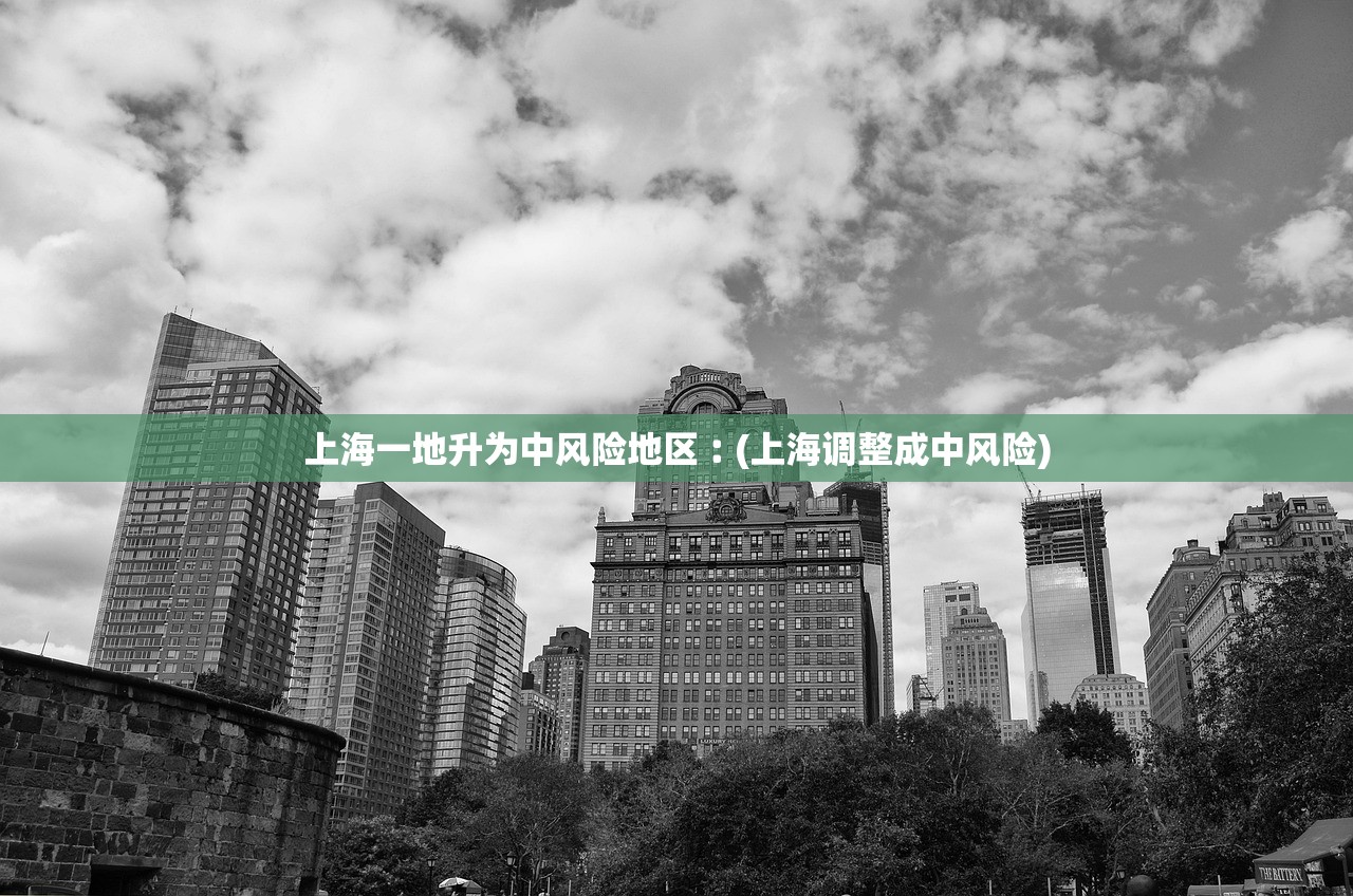 上海一地升为中风险地区︰(上海调整成中风险)