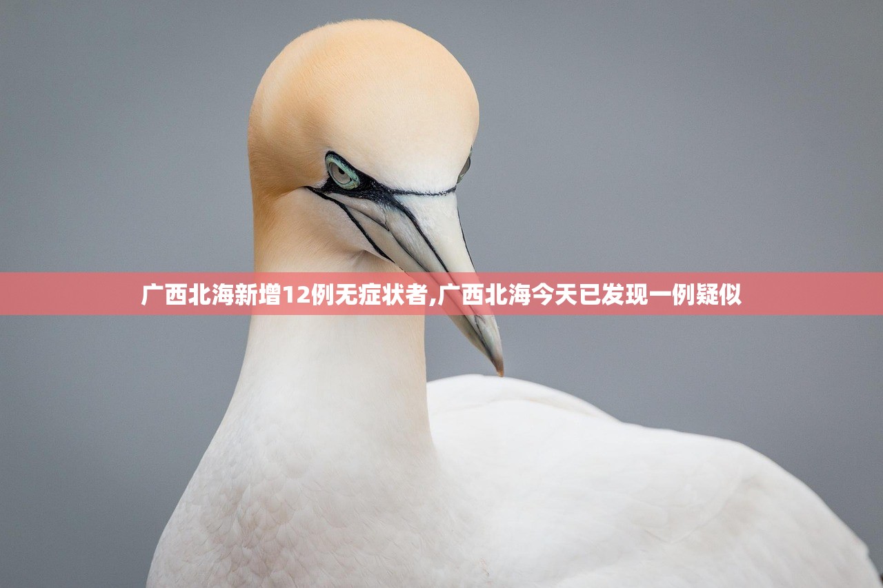 广西北海新增12例无症状者,广西北海今天已发现一例疑似