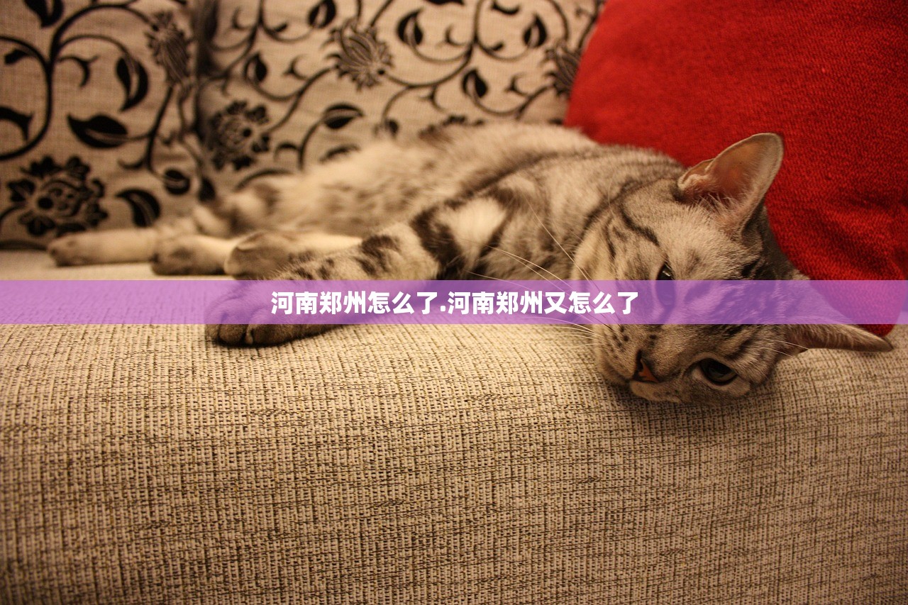 河南郑州怎么了.河南郑州又怎么了