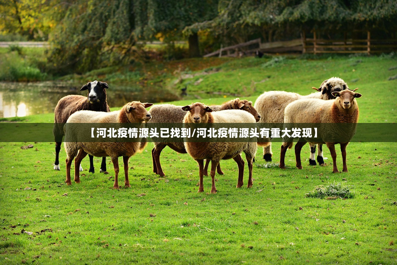 【河北疫情源头已找到/河北疫情源头有重大发现】