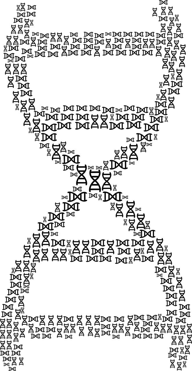 进返京不再查验核酸和健康码.回京叫返京