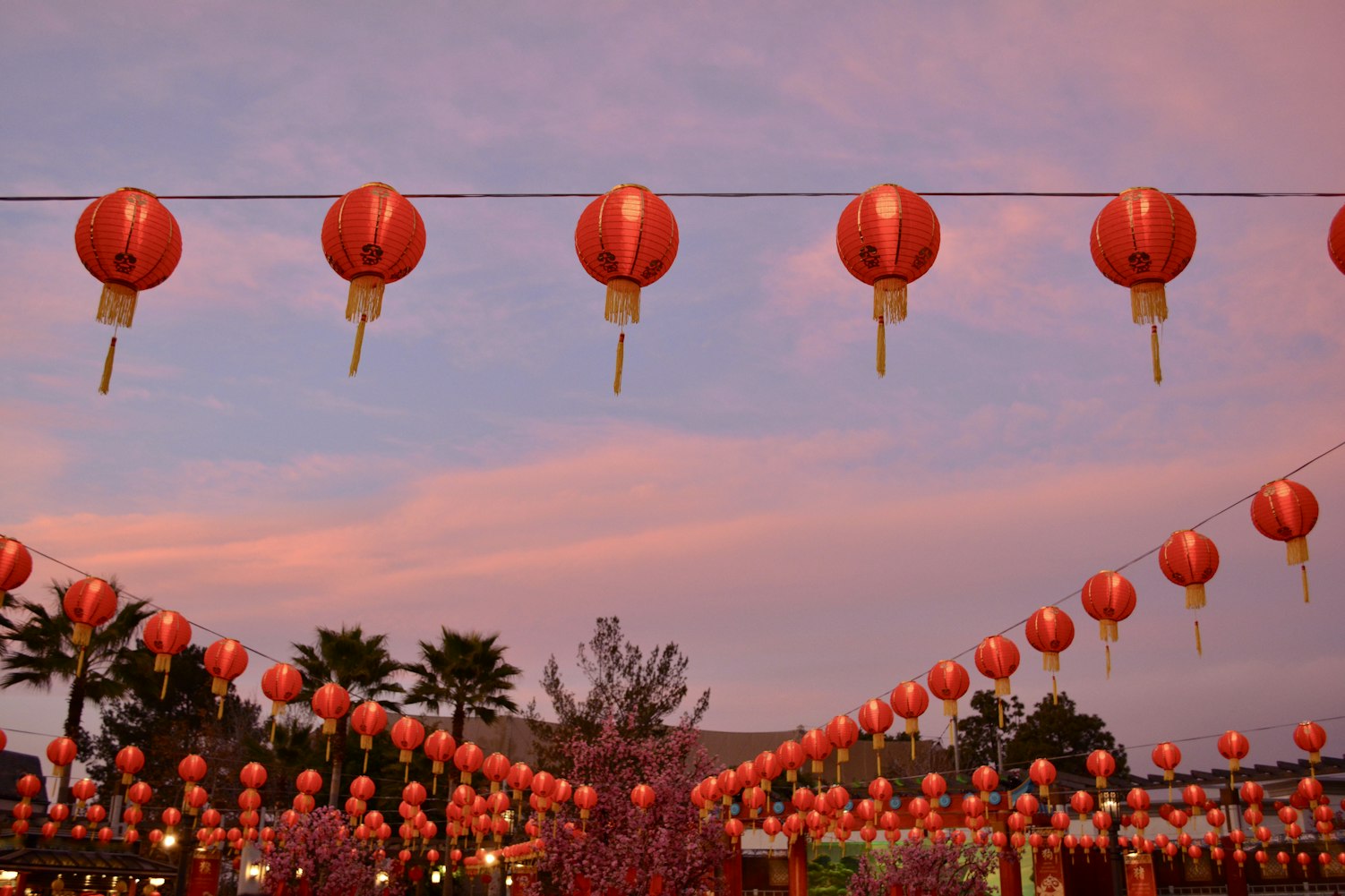春节返乡〃春节返乡母爱 春节返乡〃春节返乡母爱